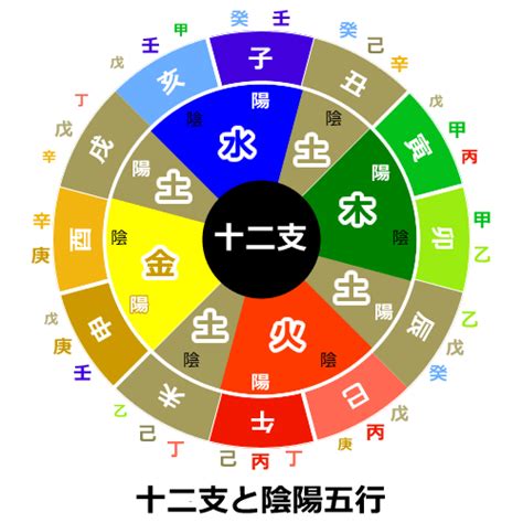 陰木 性格|【五行占い】木（陽・陰）の2023年運勢や特徴・性。